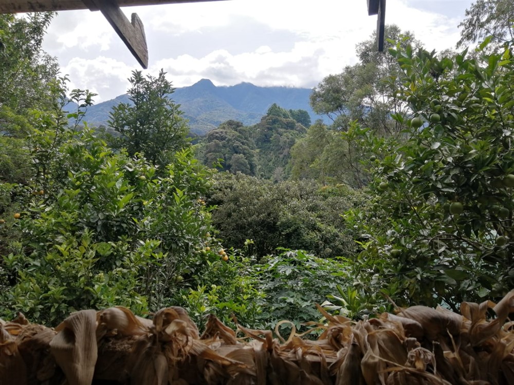 Withdrawn - Mountain Eco-Lodge and Sustainable Development Center for Sale in Horqueta, Los Naranjos, Boquete, Chiriqui photo 7