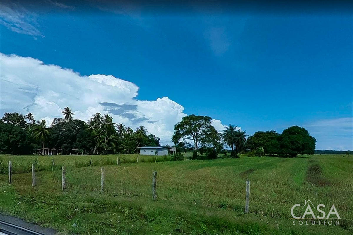 Only 3 Minutes to the Beach! 4.6 Acre Lot for Sale Near Las Olas Resort & The Beautiful Beach of Playa La Barqueta in Alanje, Panama photo 3