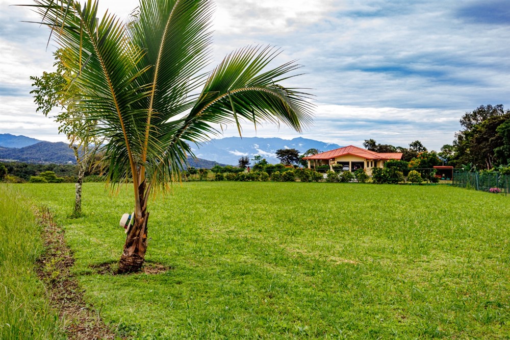 Off Market by Owner - $25,000 Price Reduction! Outstanding, Flat Building Site with Volcan Baru Views for Sale in Eden, Potrerillos, Chiriqui photo 11