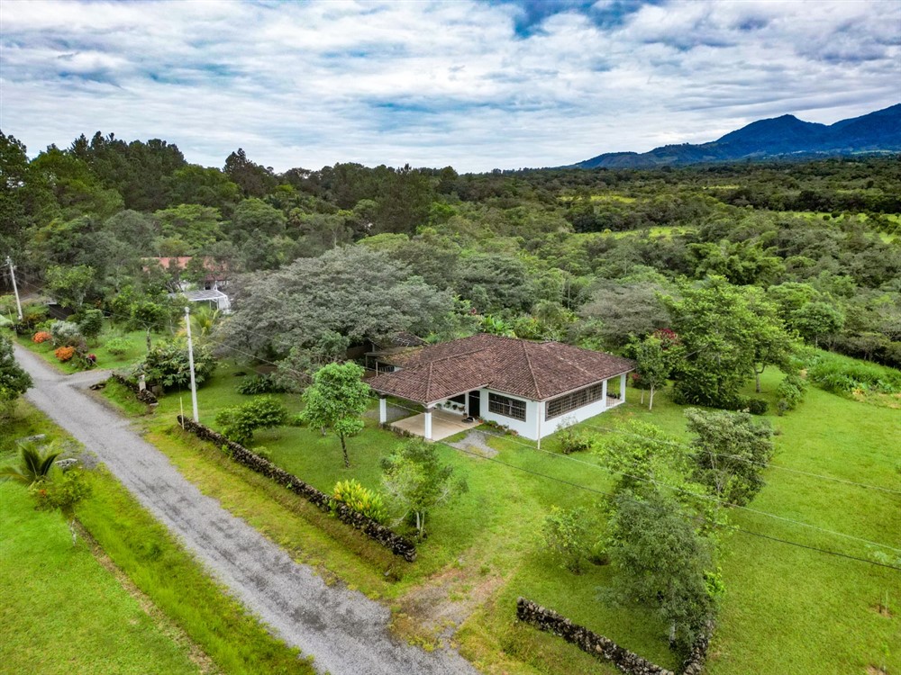 Off Market by Owner - $25,000 Price Reduction! Outstanding, Flat Building Site with Volcan Baru Views for Sale in Eden, Potrerillos, Chiriqui photo 8