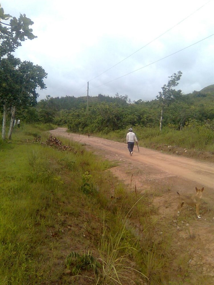Over 12 Expansive Acres of Farmland for Sale in Penonome, Cocle Province photo 2