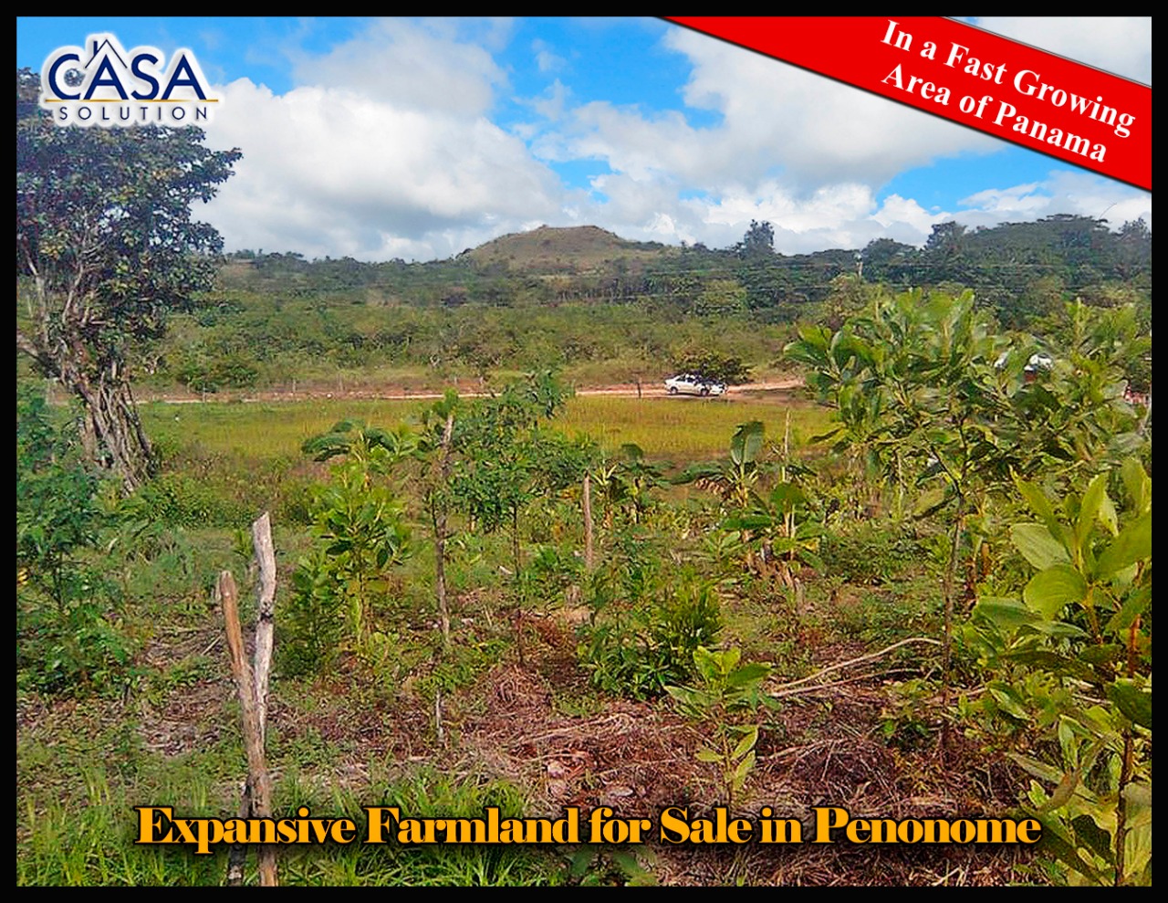 Over 12 Expansive Acres of Farmland for Sale in Penonome, Cocle Province photo 4