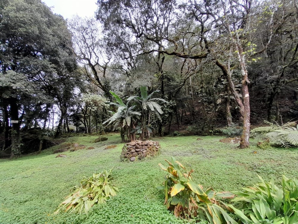 Over 27 Lush Acres of Land for Sale in Jaramillo, Boquete, Chiriqui photo 10
