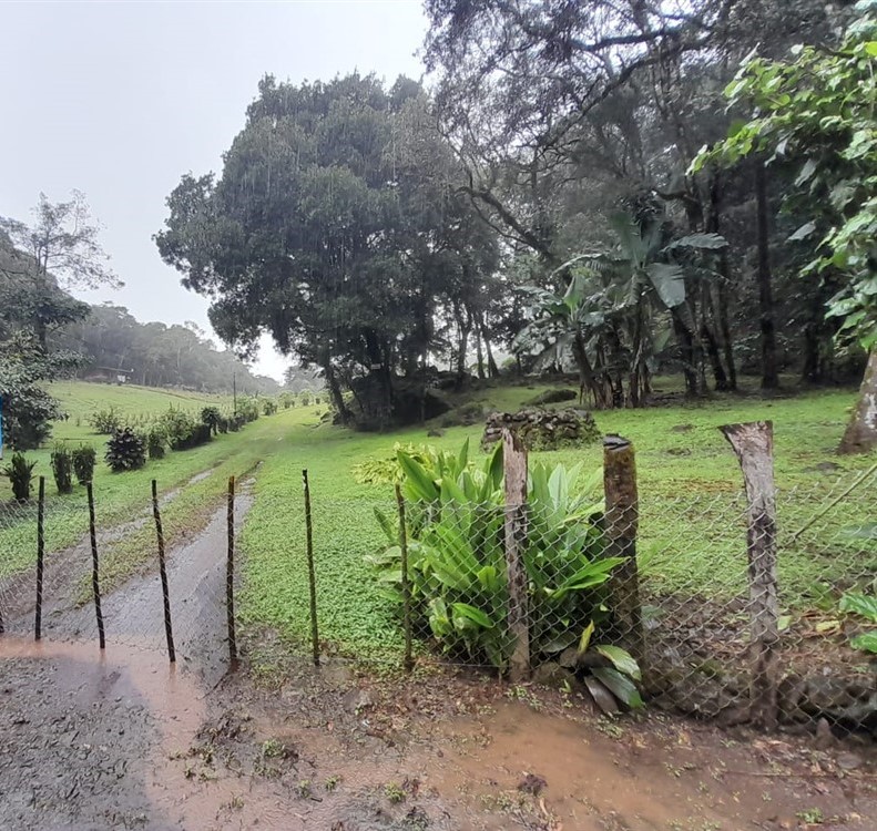 Over 27 Lush Acres of Land for Sale in Jaramillo, Boquete, Chiriqui photo 2