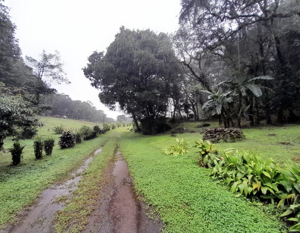 Over 27 Lush Acres of Land for Sale in Jaramillo, Boquete, Chiriqui photo 3