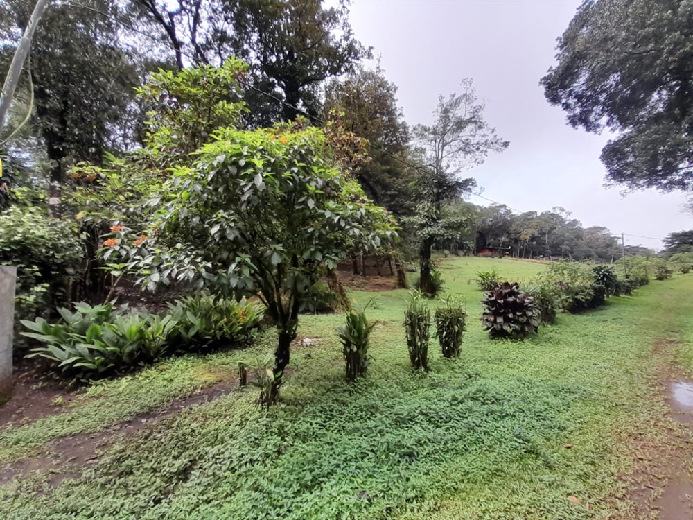 Over 27 Lush Acres of Land for Sale in Jaramillo, Boquete, Chiriqui photo 4