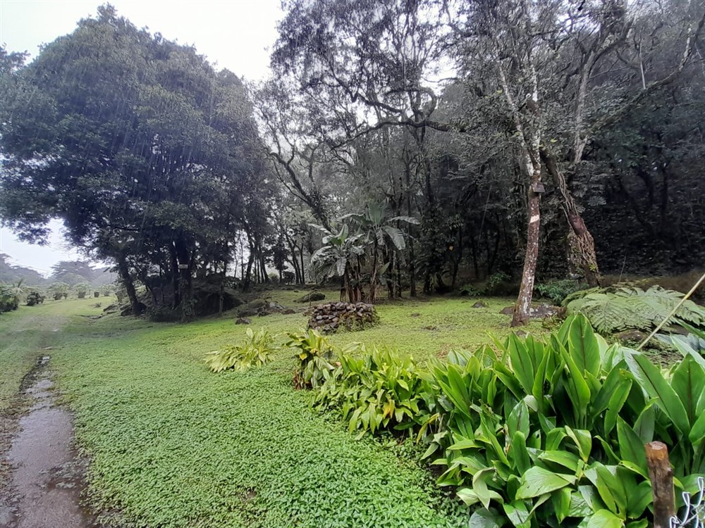 Over 7 Lush Acres of Land for Sale in Jaramillo, Boquete, Chiriqui