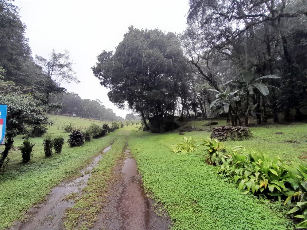 Over 7 Lush Acres of Land for Sale in Jaramillo, Boquete, Chiriqui photo 12
