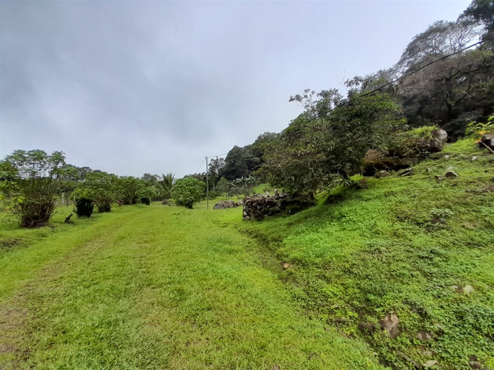 Over 7 Lush Acres of Land for Sale in Jaramillo, Boquete, Chiriqui photo 7