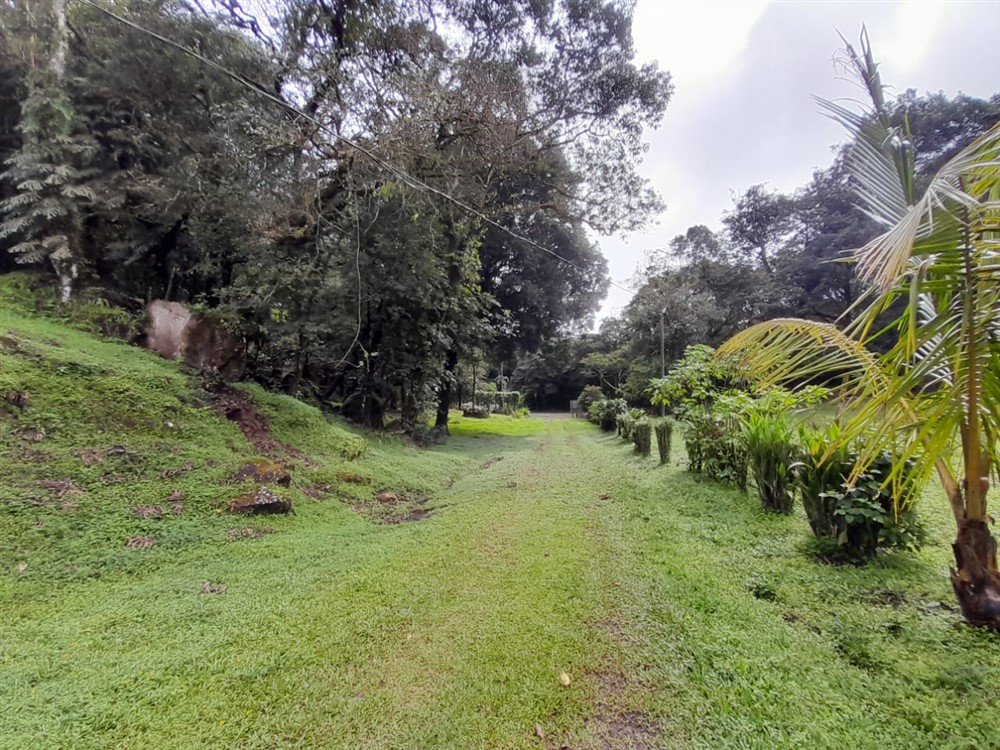 Over 7 Lush Acres of Land for Sale in Jaramillo, Boquete, Chiriqui photo 8