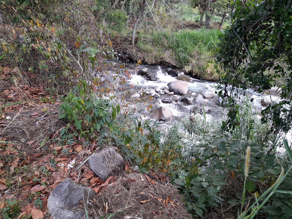 Price Reduction! Over 17 Acres of Reforested Land With Riverfront For Sale near Panama’s Pacific Gold Coast Beaches Just 1 Hour from Panama City photo 9