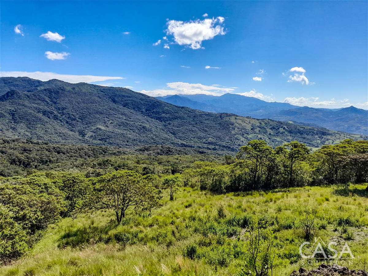 Withdrawn - So Much Beautiful Land - A Conservationist's Dream - 66 Hectares (163 Acres) of Mostly Forested Property for Sale Near La Estrella Jaramillo, Boquete, Panama