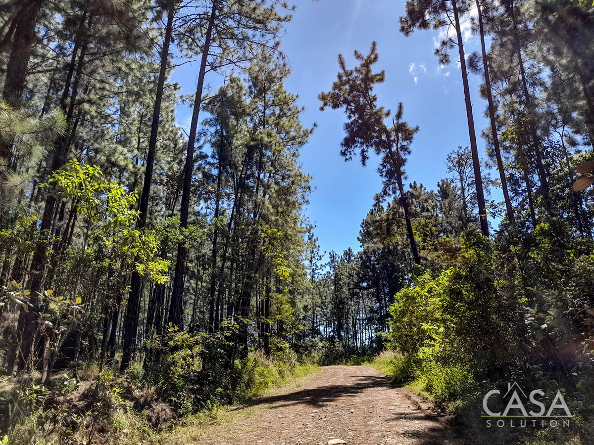 Withdrawn - So Much Beautiful Land - A Conservationist's Dream - 66 Hectares (163 Acres) of Mostly Forested Property for Sale Near La Estrella Jaramillo, Boquete, Panama photo 10