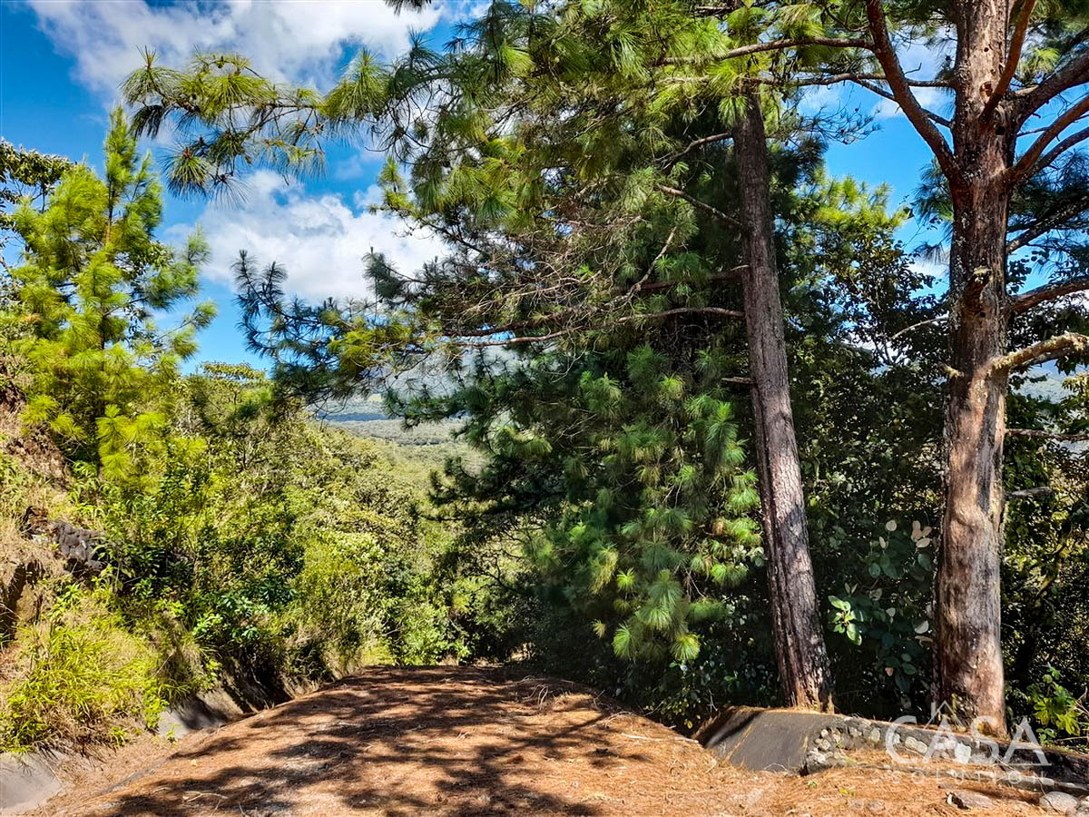 Withdrawn - So Much Beautiful Land - A Conservationist's Dream - 66 Hectares (163 Acres) of Mostly Forested Property for Sale Near La Estrella Jaramillo, Boquete, Panama photo 12
