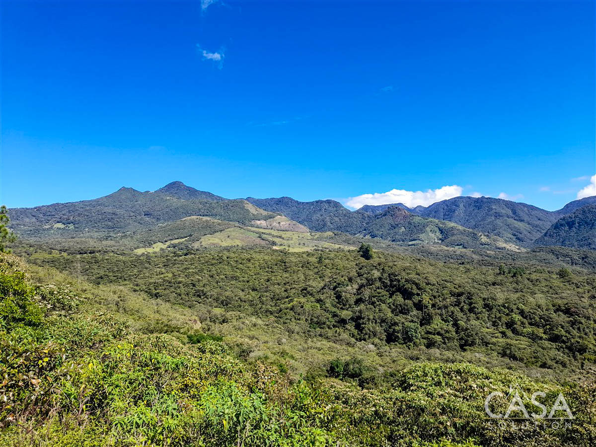 Withdrawn - So Much Beautiful Land - A Conservationist's Dream - 66 Hectares (163 Acres) of Mostly Forested Property for Sale Near La Estrella Jaramillo, Boquete, Panama photo 2
