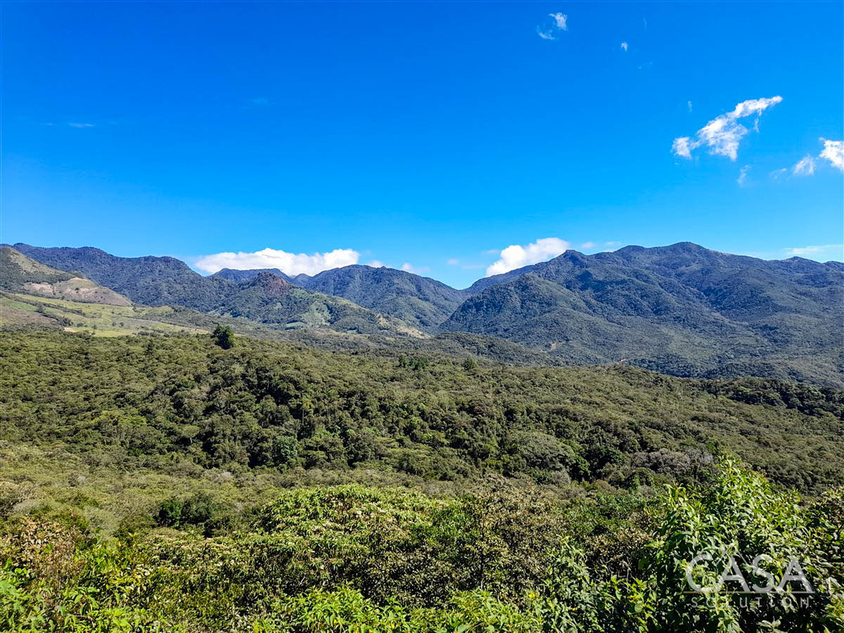 Withdrawn - So Much Beautiful Land - A Conservationist's Dream - 66 Hectares (163 Acres) of Mostly Forested Property for Sale Near La Estrella Jaramillo, Boquete, Panama photo 3