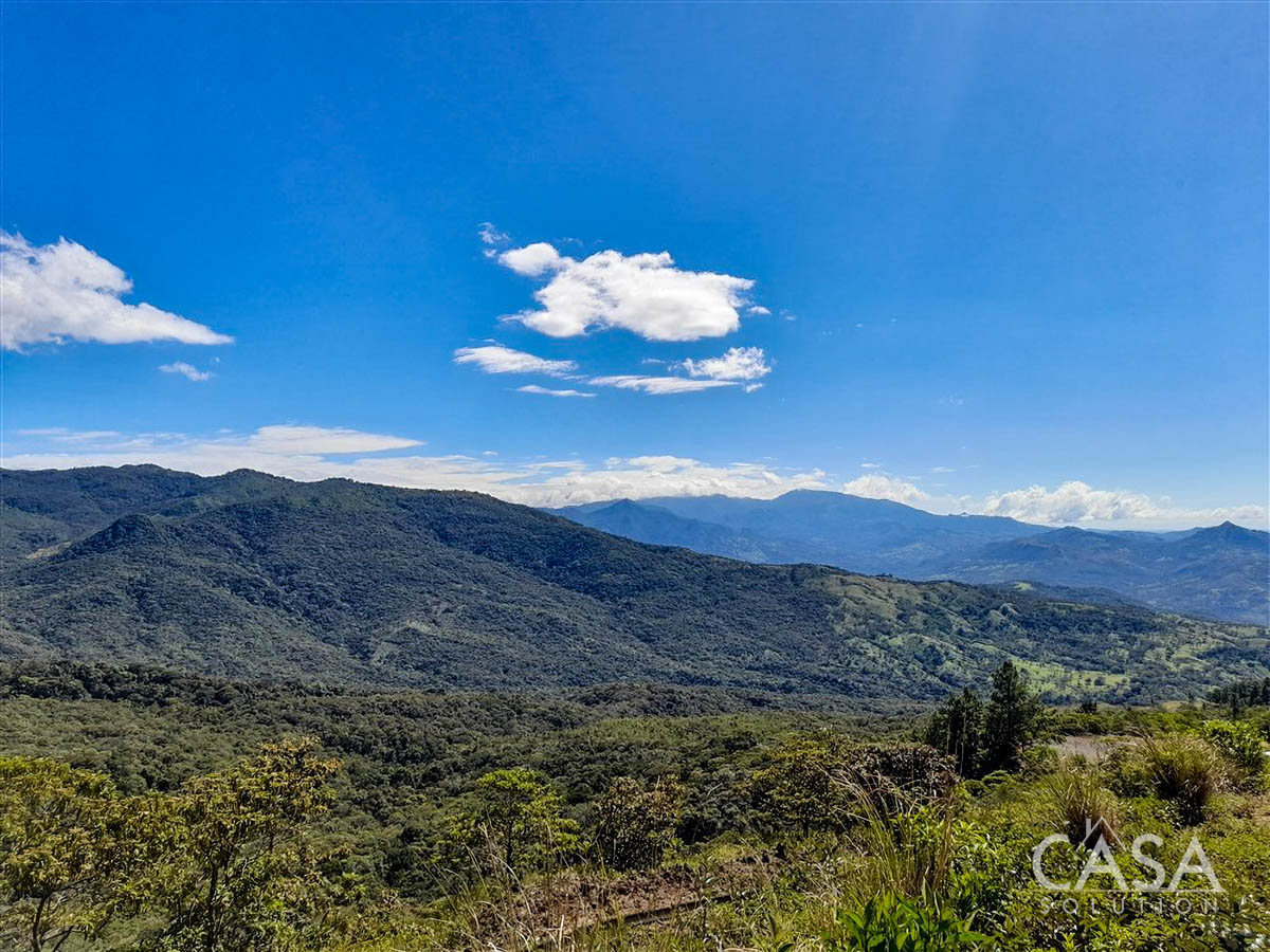 Withdrawn - So Much Beautiful Land - A Conservationist's Dream - 66 Hectares (163 Acres) of Mostly Forested Property for Sale Near La Estrella Jaramillo, Boquete, Panama photo 4