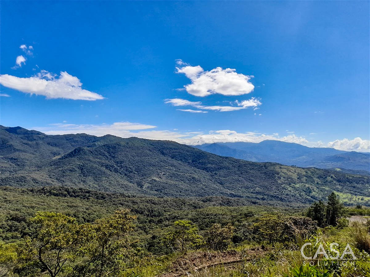 Withdrawn - So Much Beautiful Land - A Conservationist's Dream - 66 Hectares (163 Acres) of Mostly Forested Property for Sale Near La Estrella Jaramillo, Boquete, Panama photo 5