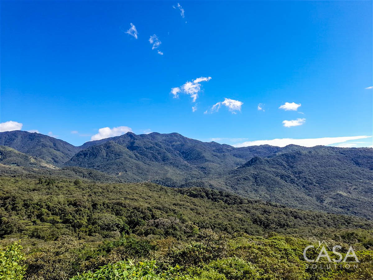 Withdrawn - So Much Beautiful Land - A Conservationist's Dream - 66 Hectares (163 Acres) of Mostly Forested Property for Sale Near La Estrella Jaramillo, Boquete, Panama photo 6
