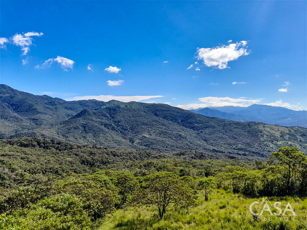 Withdrawn - So Much Beautiful Land - A Conservationist's Dream - 66 Hectares (163 Acres) of Mostly Forested Property for Sale Near La Estrella Jaramillo, Boquete, Panama photo 7