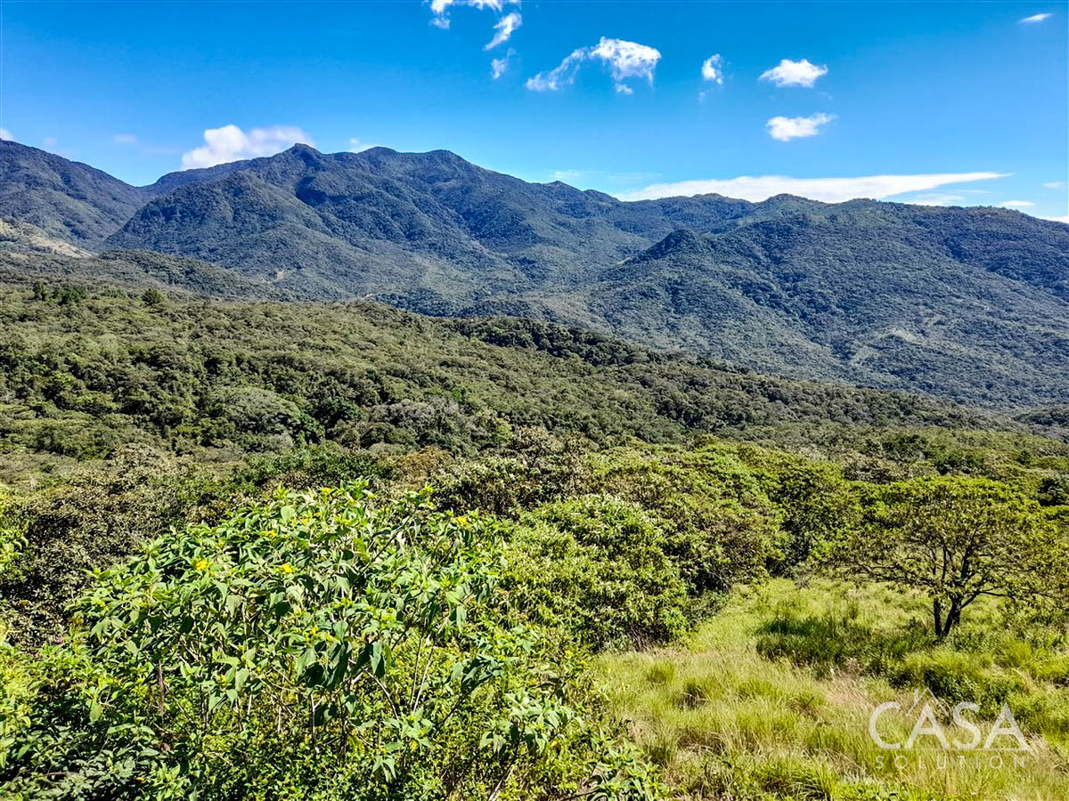 Withdrawn - So Much Beautiful Land - A Conservationist's Dream - 66 Hectares (163 Acres) of Mostly Forested Property for Sale Near La Estrella Jaramillo, Boquete, Panama photo 8