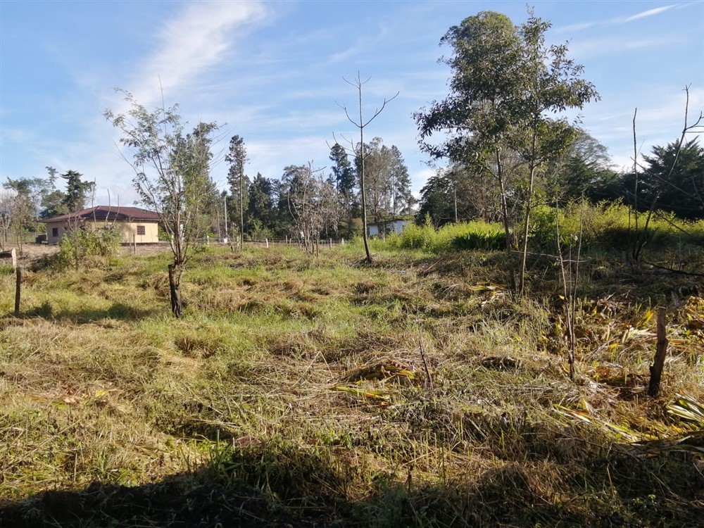 Withdraw - Super Affordable! Residential Lot for Sale in Potrerillos Arriba, Dolega, Chiriqui – Price is Negotiable photo 12