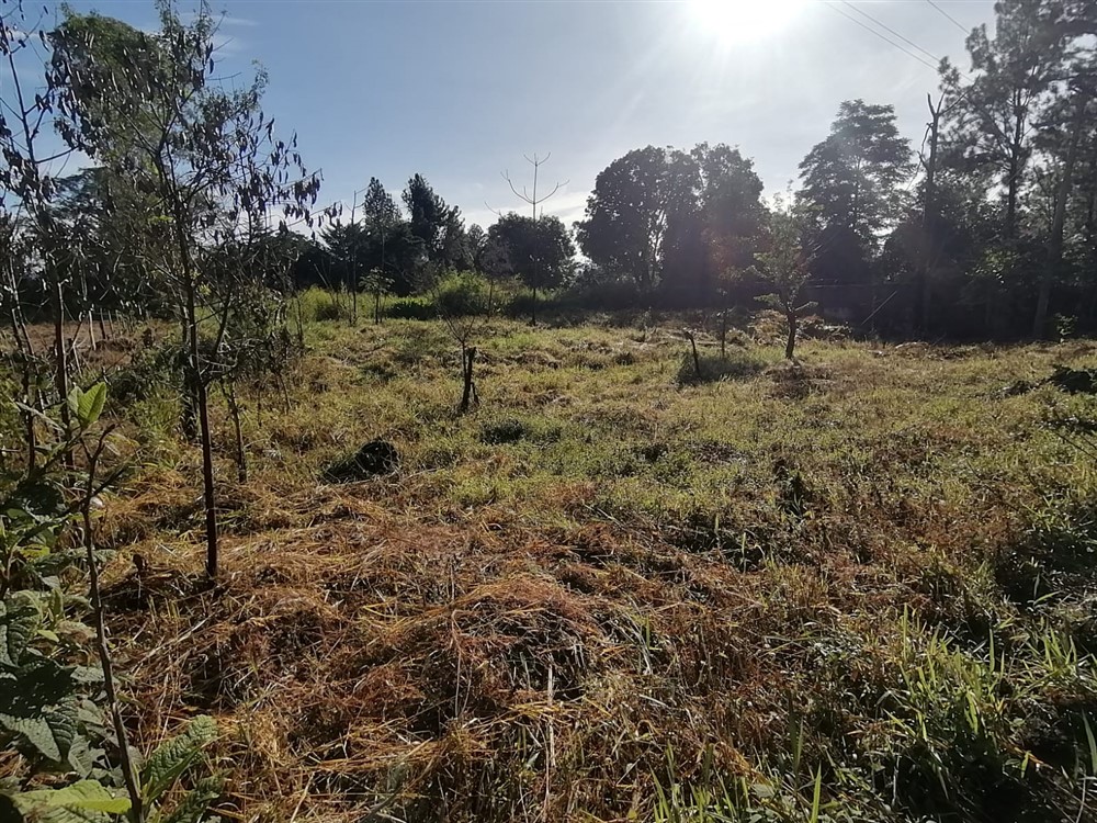 Withdraw - Super Affordable! Residential Lot for Sale in Potrerillos Arriba, Dolega, Chiriqui – Price is Negotiable photo 3