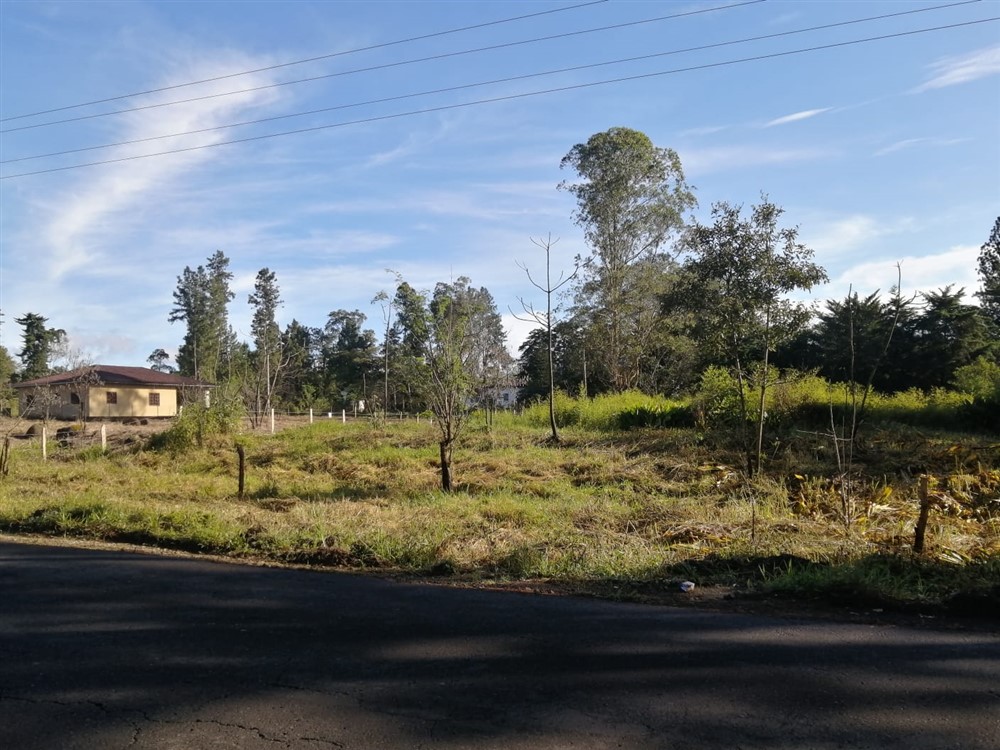 Withdraw - Super Affordable! Residential Lot for Sale in Potrerillos Arriba, Dolega, Chiriqui – Price is Negotiable photo 5