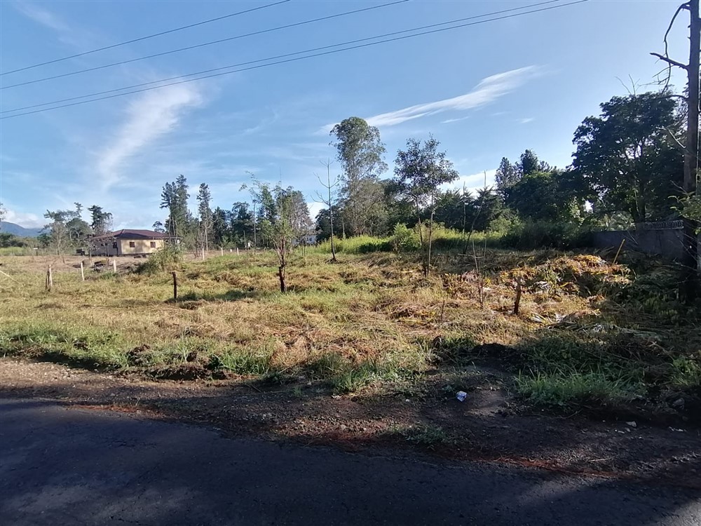 Withdraw - Super Affordable! Residential Lot for Sale in Potrerillos Arriba, Dolega, Chiriqui – Price is Negotiable photo 6