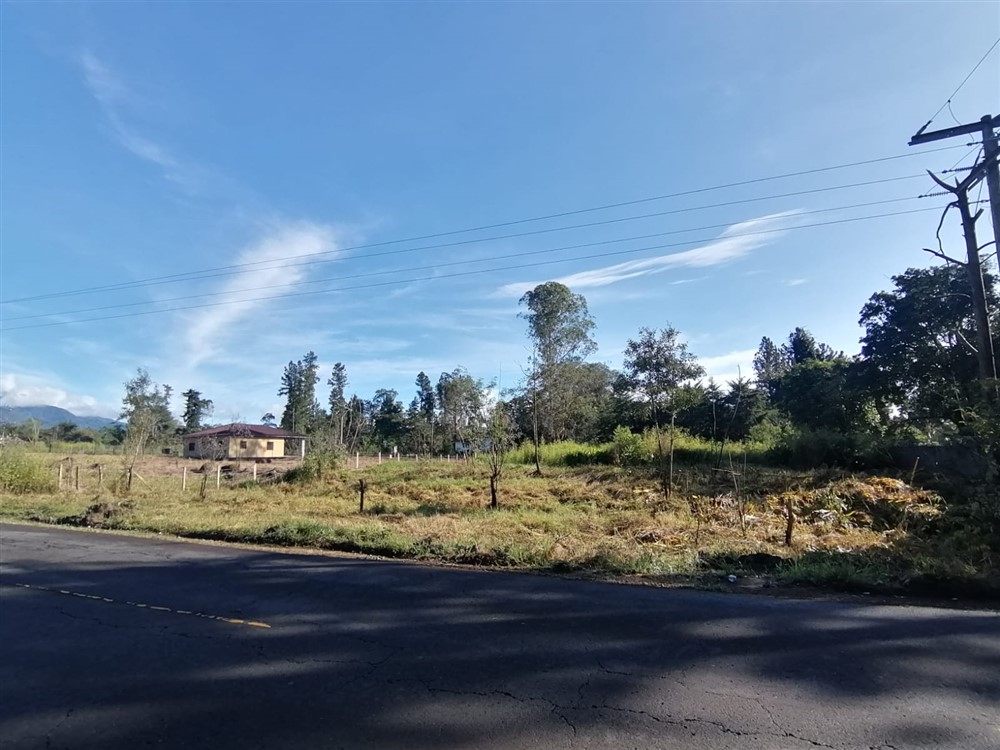 Withdraw - Super Affordable! Residential Lot for Sale in Potrerillos Arriba, Dolega, Chiriqui – Price is Negotiable photo 7