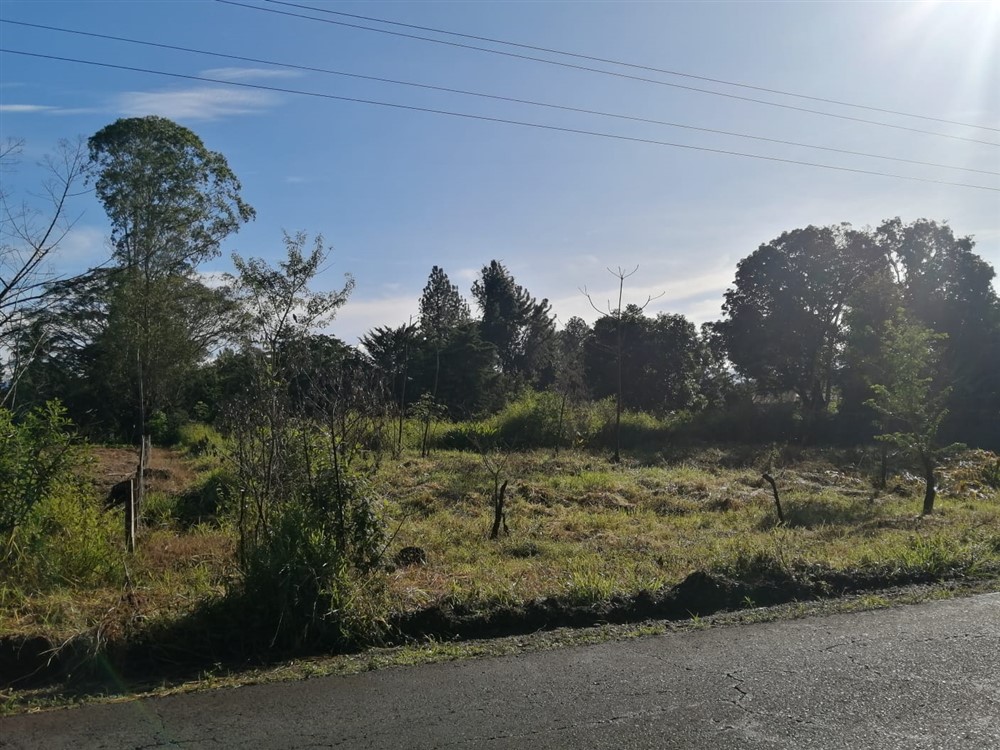 Withdraw - Super Affordable! Residential Lot for Sale in Potrerillos Arriba, Dolega, Chiriqui – Price is Negotiable photo 8