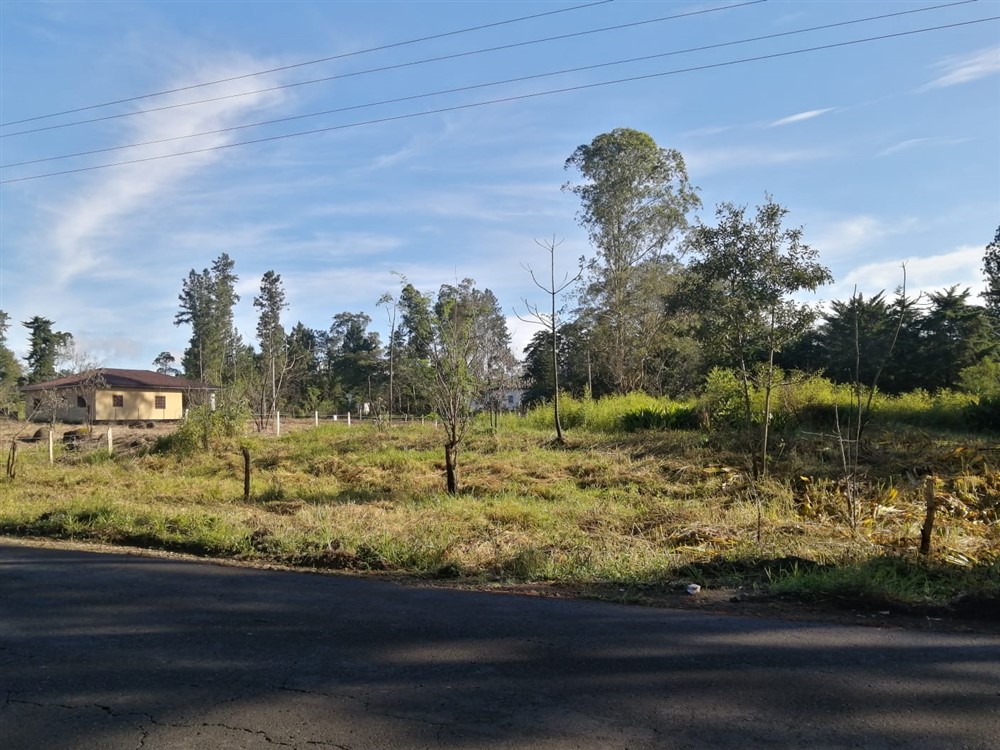 Withdraw - Super Affordable! Residential Lot for Sale in Potrerillos Arriba, Dolega, Chiriqui – Price is Negotiable photo 9