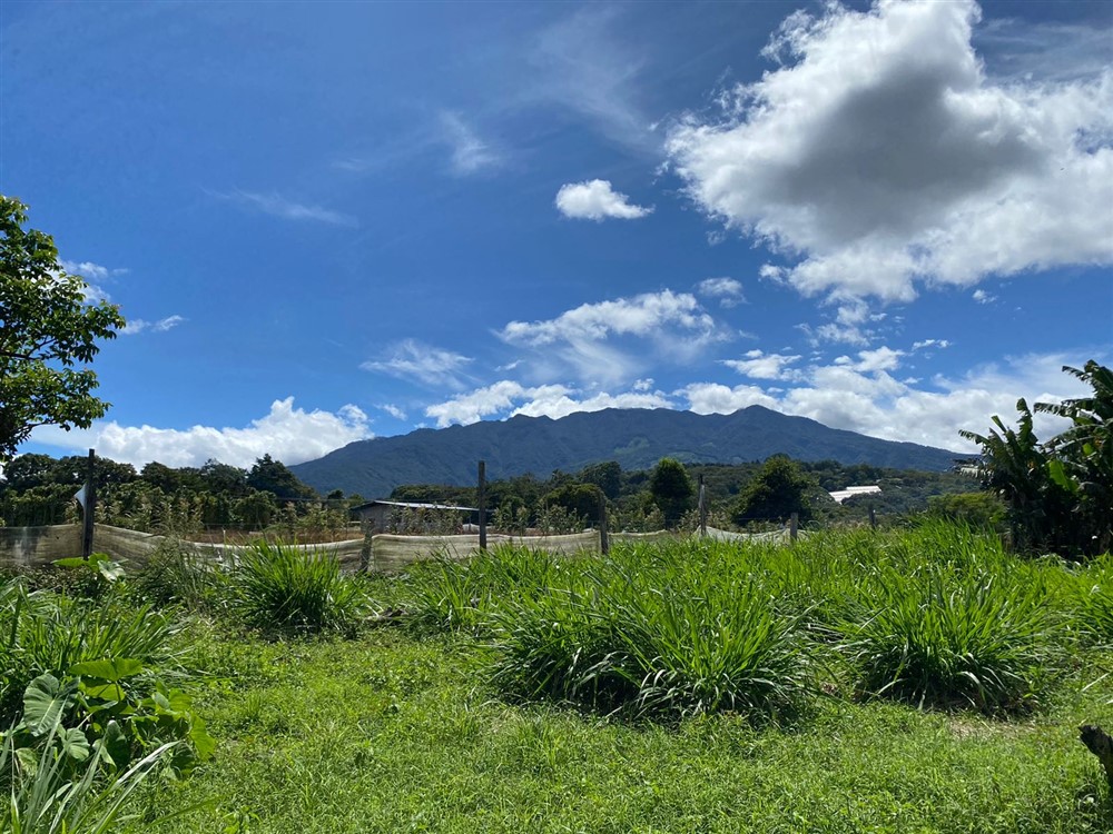 Sold by Casa Solution! Gorgeous Building Site with Trees for Sale in Volcancito, Boquete, Chiriqui Province