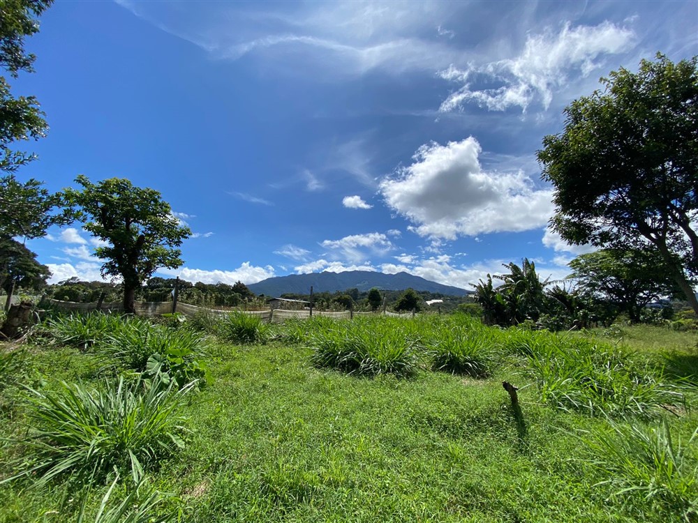 Sold by Casa Solution! Gorgeous Building Site with Trees for Sale in Volcancito, Boquete, Chiriqui Province photo 12