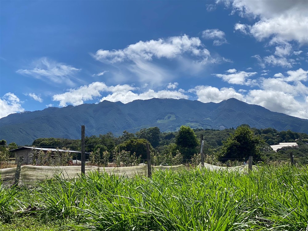 Sold by Casa Solution! Gorgeous Building Site with Trees for Sale in Volcancito, Boquete, Chiriqui Province photo 3