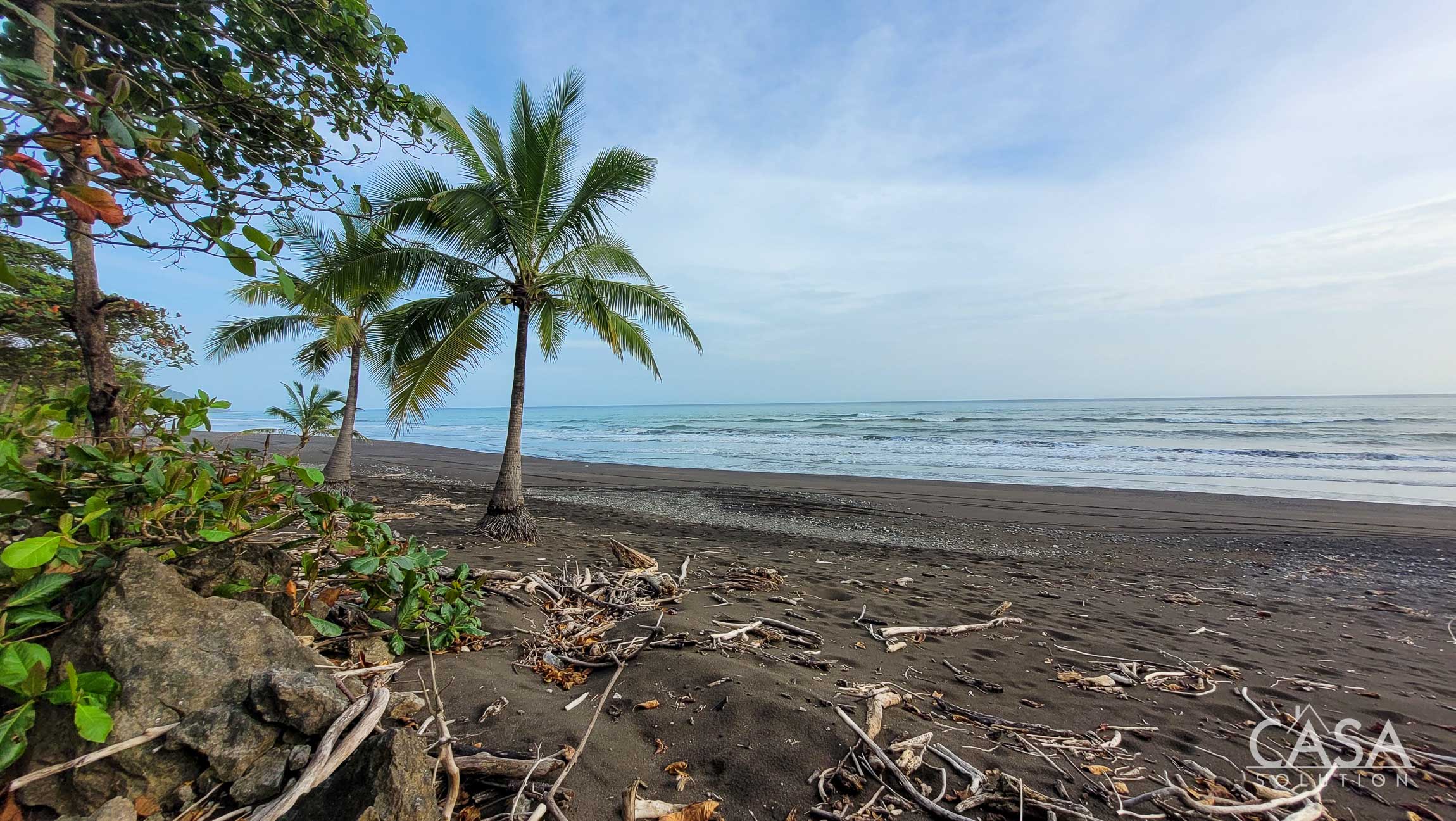 Sold by Casa Solution – Lush Titled Beachfront Lot for Sale in Cambutal, Los Santos Province – Near Surf!