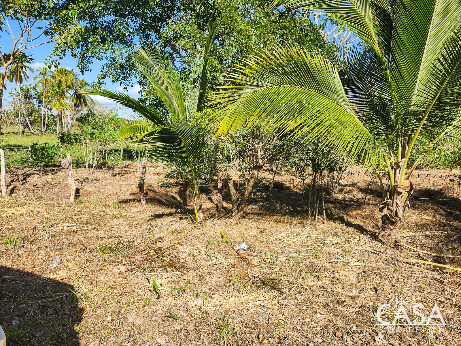 Off Market by Owner - Great Lot for a Las Lajas Beach House – 1,227 m2 Lot for Sale Just 300 meters from the Beach photo 10