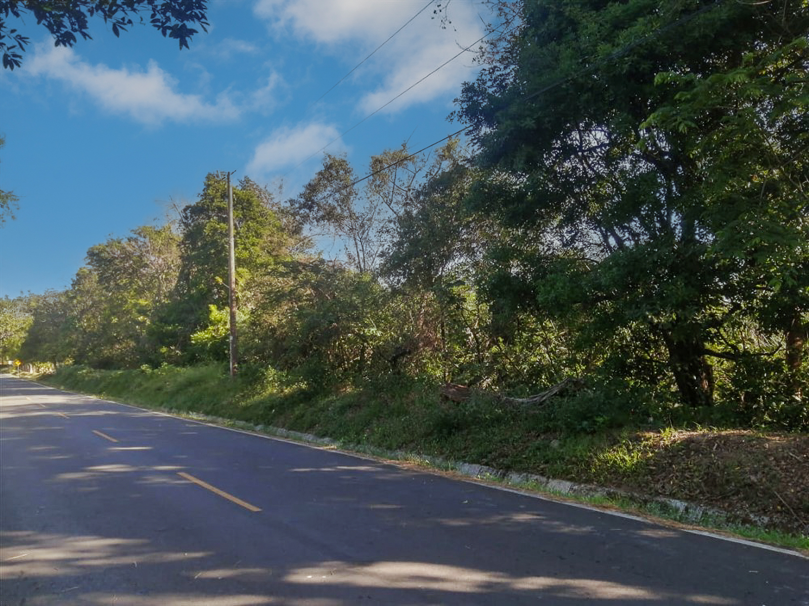 Stunning Nearly 62 Lush Acres with Mostly Flat Terrain and Natural Beauty in Cochea, David photo 2