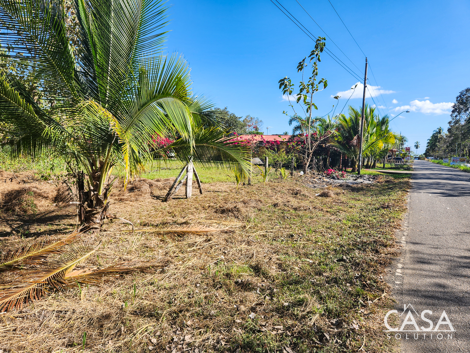 Off Market by Owner - Great Lot for a Las Lajas Beach House – 1,227 m2 Lot for Sale Just 300 meters from the Beach photo 11