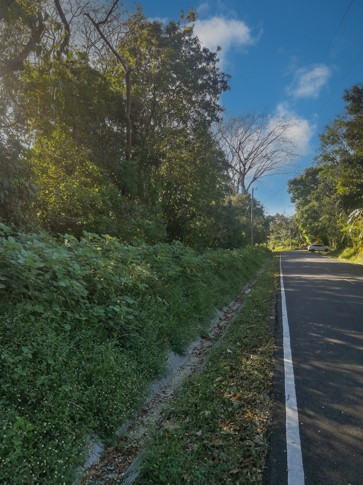 Stunning Nearly 62 Lush Acres with Mostly Flat Terrain and Natural Beauty in Cochea, David photo 3