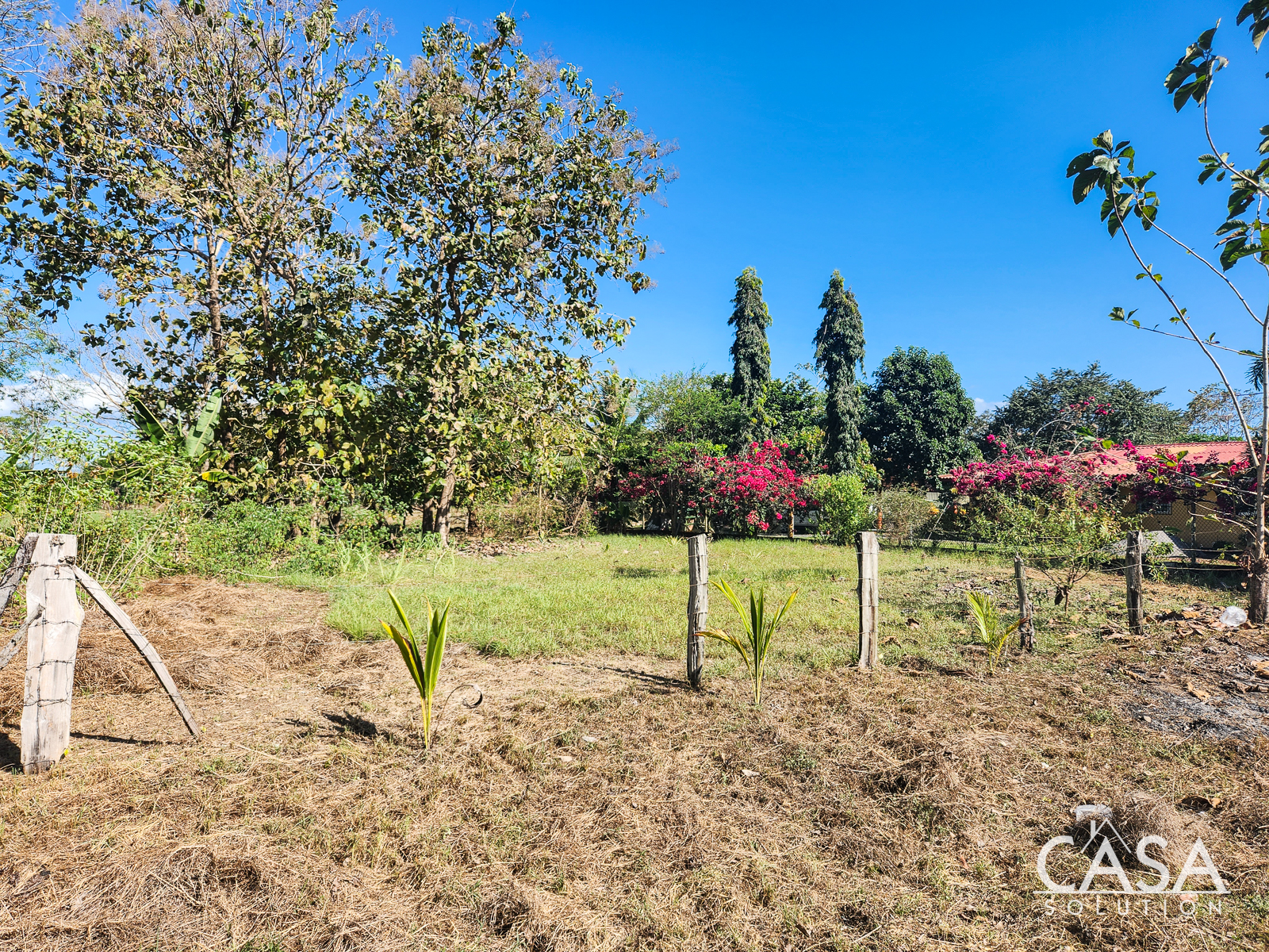 Off Market by Owner - Great Lot for a Las Lajas Beach House – 1,227 m2 Lot for Sale Just 300 meters from the Beach photo 12