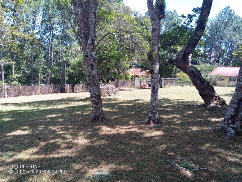 Off Market by Owner - Great Lot for a Las Lajas Beach House – 1,227 m2 Lot for Sale Just 300 meters from the Beach photo 7