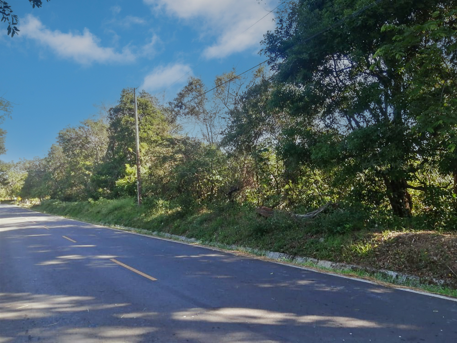 Stunning Nearly 62 Lush Acres with Mostly Flat Terrain and Natural Beauty in Cochea, David