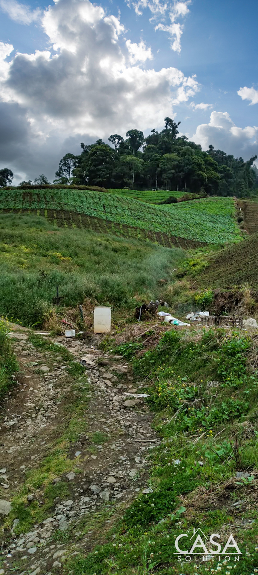 Price Reduction! Huge 20-Acre Agricultural or EcoTourism Lot Near the Entrance of La Amistad International Park Entrance in Las Nubes, Cerro Punta, Chiriqui photo 10