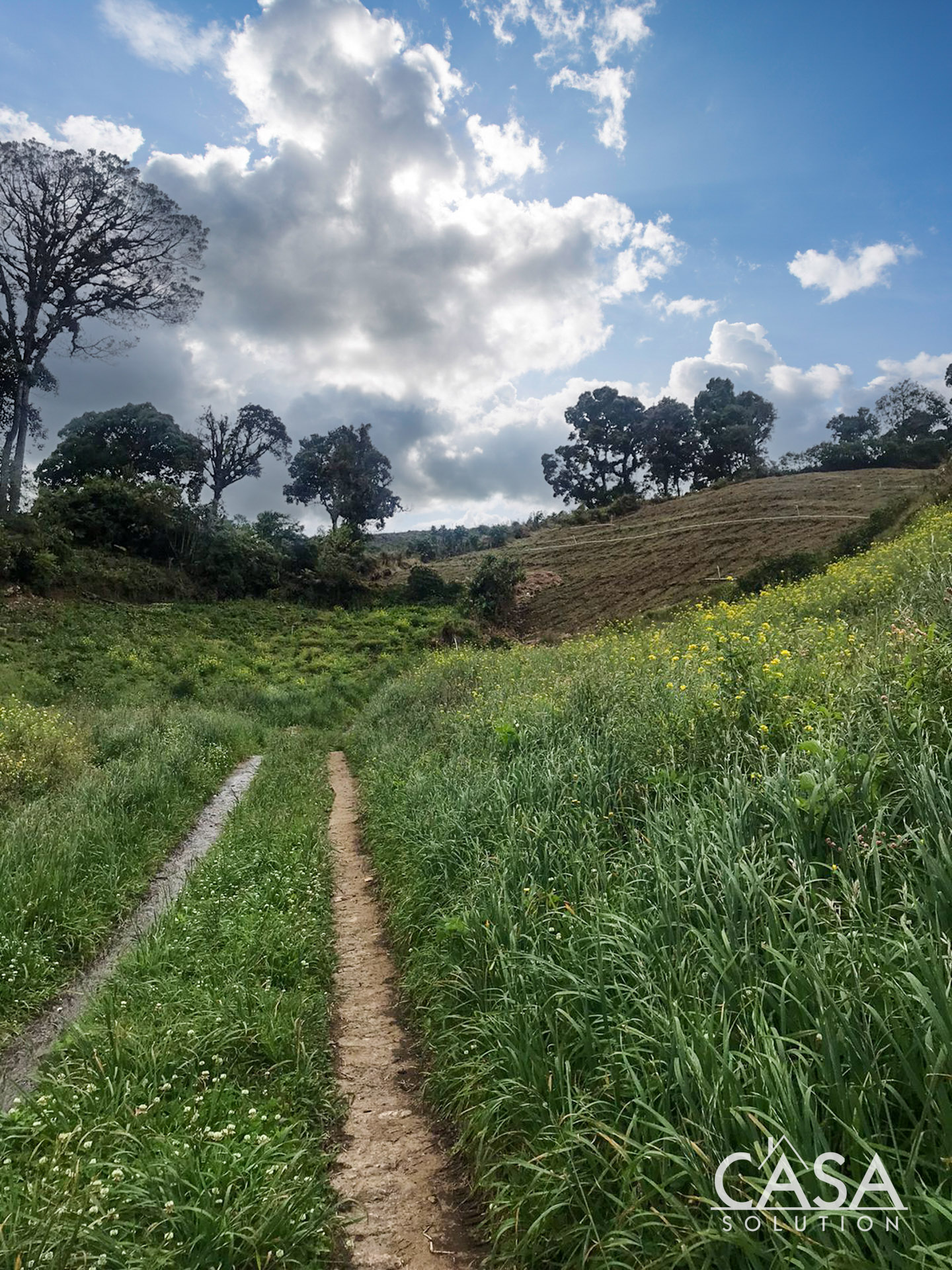 Price Reduction! Huge 20-Acre Agricultural or EcoTourism Lot Near the Entrance of La Amistad International Park Entrance in Las Nubes, Cerro Punta, Chiriqui photo 11