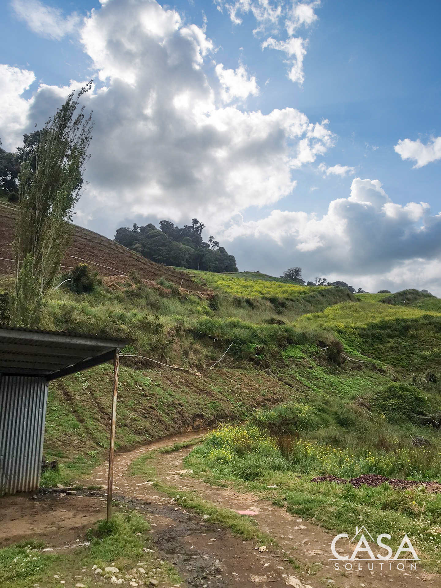 Price Reduction! Huge 20-Acre Agricultural or EcoTourism Lot Near the Entrance of La Amistad International Park Entrance in Las Nubes, Cerro Punta, Chiriqui photo 4