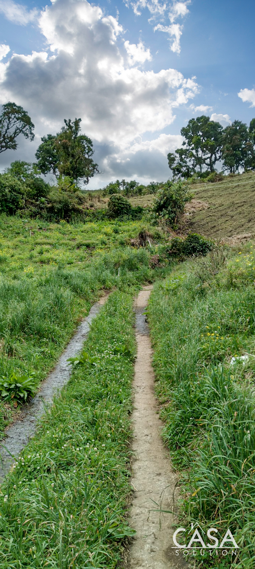 Price Reduction! Huge 20-Acre Agricultural or EcoTourism Lot Near the Entrance of La Amistad International Park Entrance in Las Nubes, Cerro Punta, Chiriqui photo 5