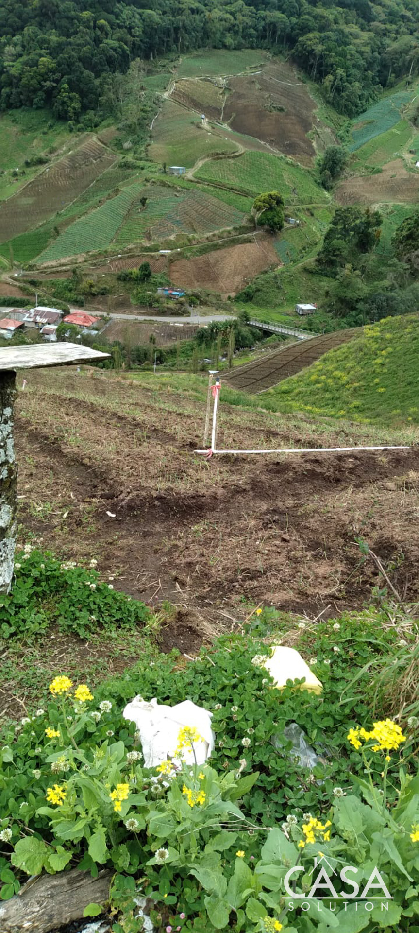 Price Reduction! Huge 20-Acre Agricultural or EcoTourism Lot Near the Entrance of La Amistad International Park Entrance in Las Nubes, Cerro Punta, Chiriqui photo 6