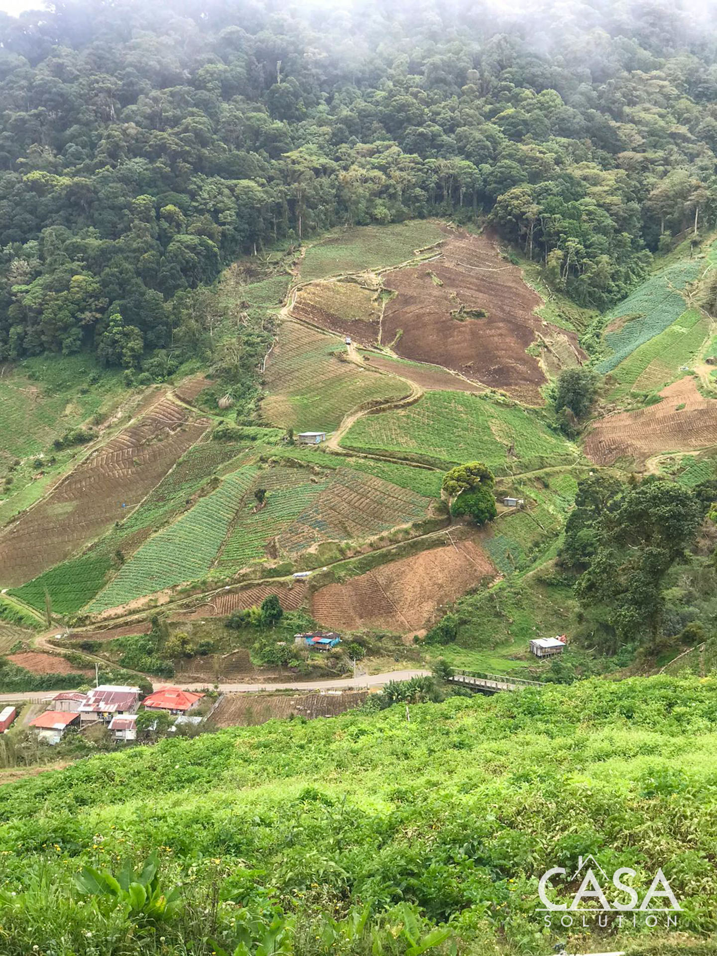 Price Reduction! Huge 20-Acre Agricultural or EcoTourism Lot Near the Entrance of La Amistad International Park Entrance in Las Nubes, Cerro Punta, Chiriqui photo 7