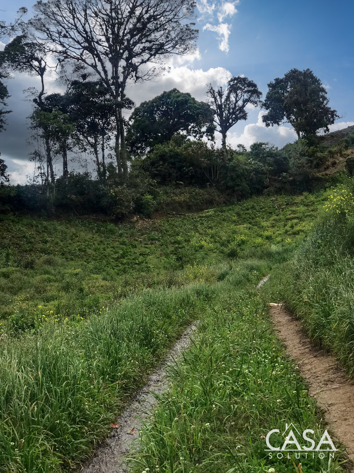 Price Reduction! Huge 20-Acre Agricultural or EcoTourism Lot Near the Entrance of La Amistad International Park Entrance in Las Nubes, Cerro Punta, Chiriqui photo 8
